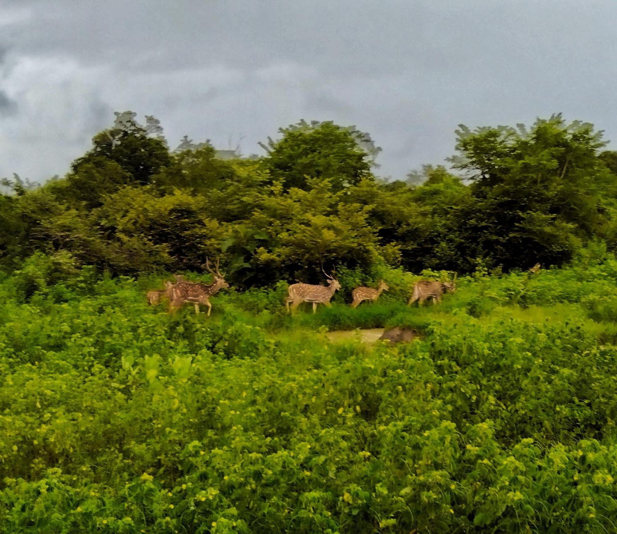 Secret River Side Safari Lodge Удавалаве Экстерьер фото