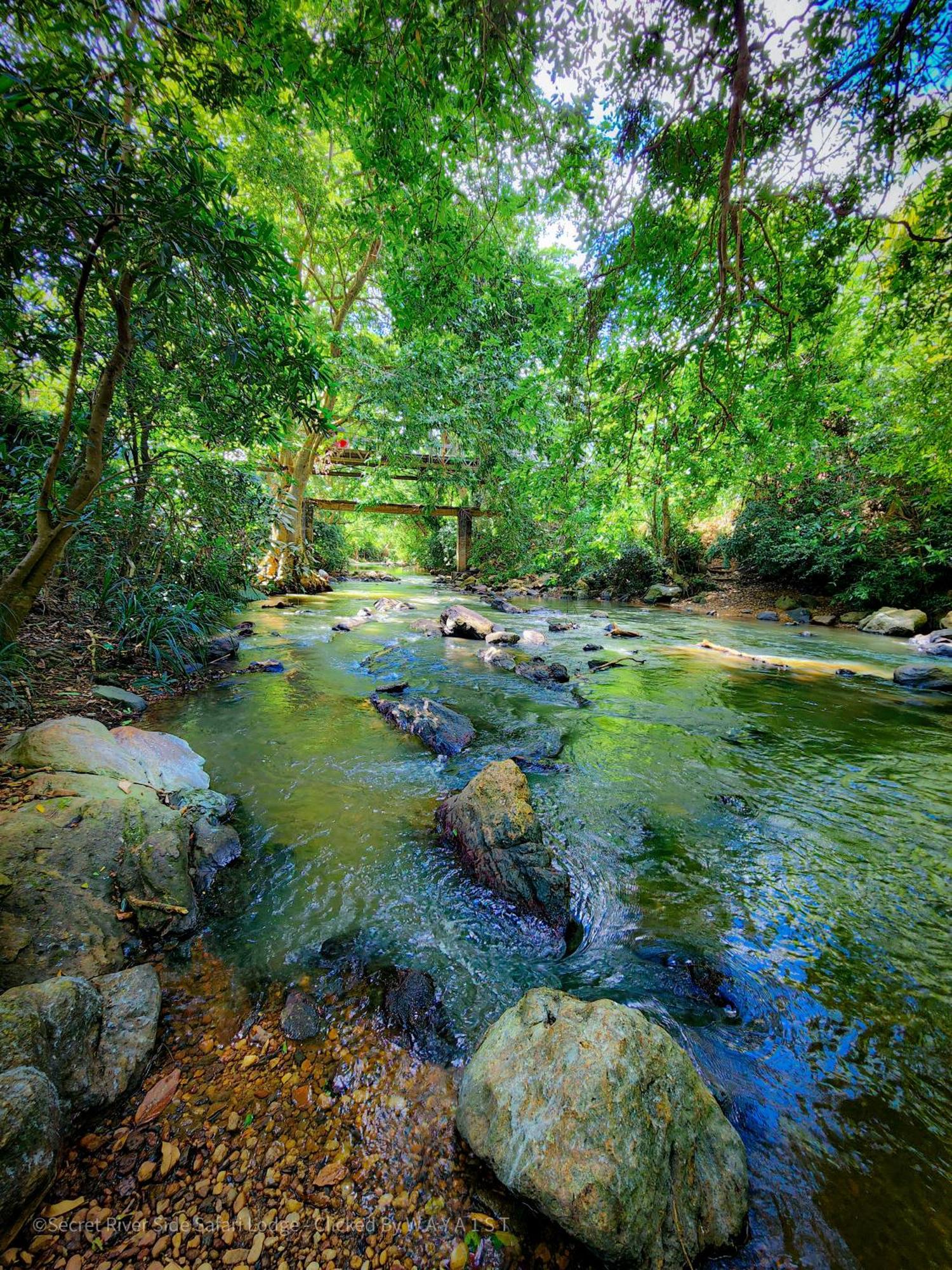 Secret River Side Safari Lodge Удавалаве Экстерьер фото